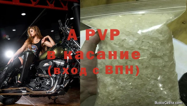 PSILOCYBIN Липки