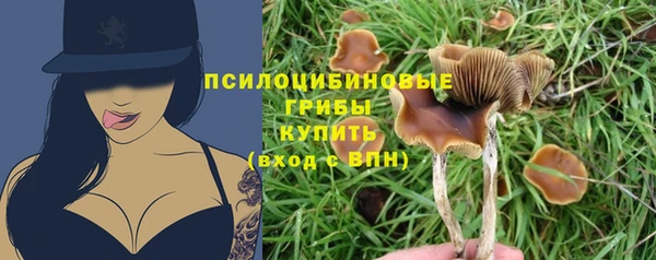 синтетический гашиш Алексеевка