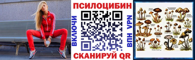 Галлюциногенные грибы ЛСД  Бирюч 